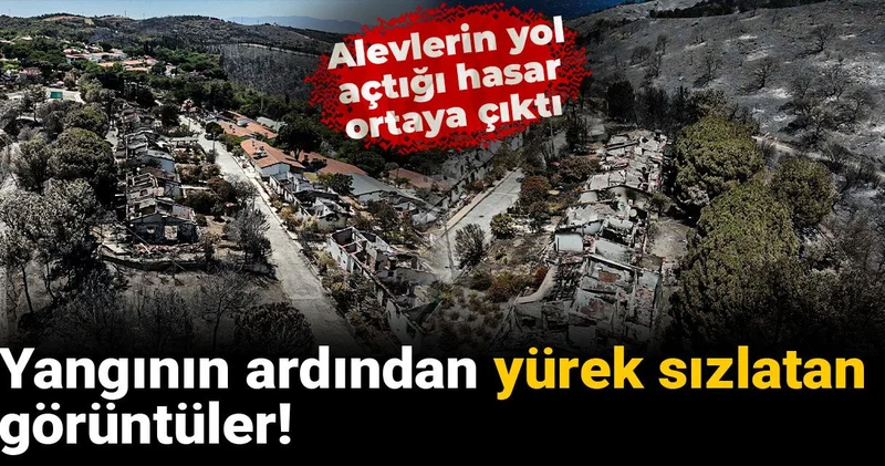 Yangının ardından yürek sızlatan görüntüler! Alevlerin yol açtığı hasar ortaya çıktı