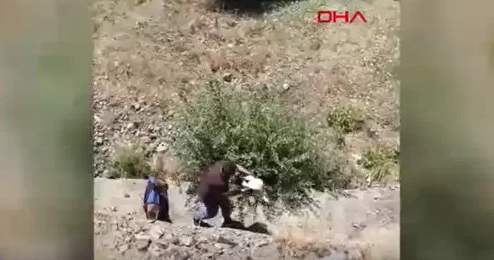 Bingöl’de yaralı halde bulunan leylek, tedaviye alındı