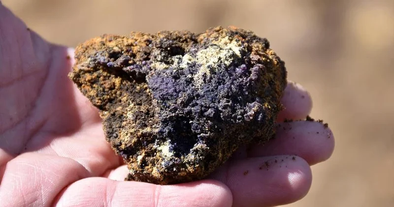 Quad dışişleri bakanları, Quad Kritik Mineraller Girişimi ni duyurdu