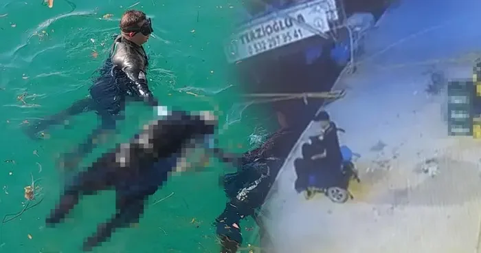 Muğla da kahreden olay! Akülü sandalyesiyle geldi, kendini denize bıraktı