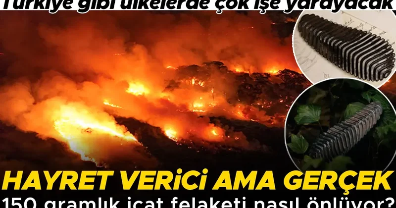 Hayret verici ama gerçek: 150 gramlık icat orman yangınlarının felakete dönüşmesini nasıl önlüyor? Türkiye gibi ülkelerde çok işe yarayacak