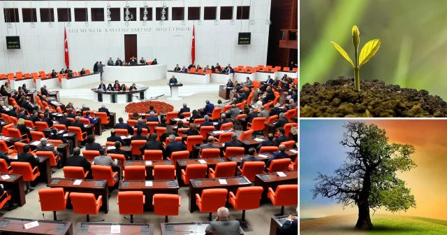 İklim Kanunu kabul edildi: 350 milyar dolar getirisi var Ankara Haberleri