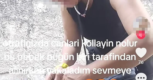 Sokak kedilerine iğne yapıp sosyal medyadan paylaşan kadına hayvanseverlerden tepki Sakarya Haberleri