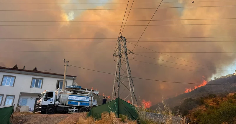 Kocaeli de korkutan orman yangını