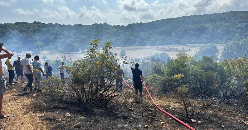 Kırklareli nde çıkan orman yangını söndürüldü