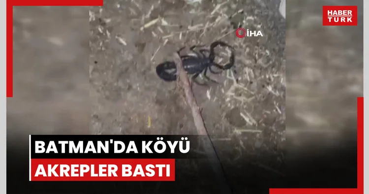 Batman da köyü akrepler bastı, köylüler tedirgin