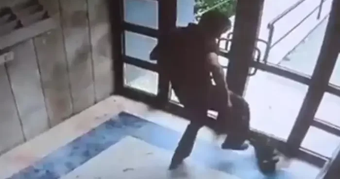 Başakşehir de kan donduran olay: Kediyi vahşice öldürdü! İfadesi ortaya çıktı: “Can düşmanım olarak gördüm”