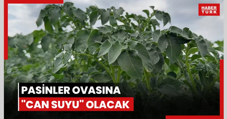 Kurulacak lisanlı depolar, Pasinler Ovasına can suyu olacak