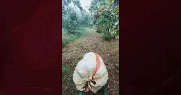 Başkan Hilmi Güler den sosyal medyayı sallayan video
