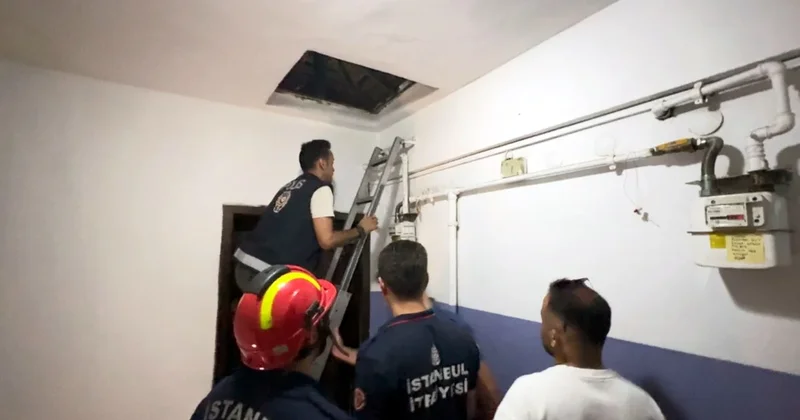 Firari, çatıya kaçtı, itfaiye merdiveniyle yakalandı Sözcü Gazetesi
