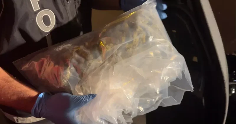 Uyuşturucu taşırken yakalanan motokurye tutuklandı