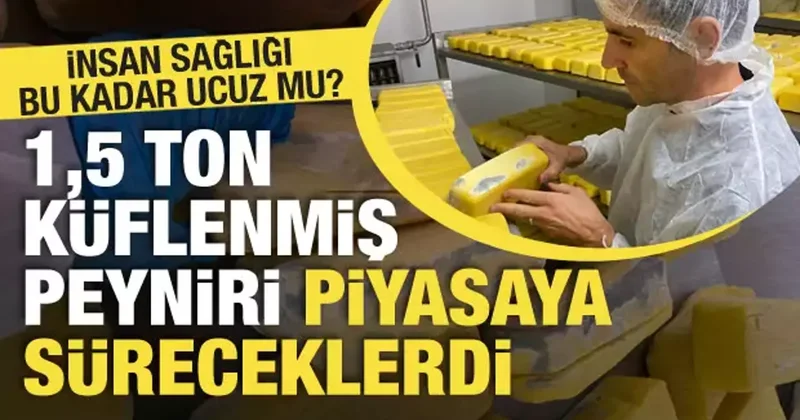 Sakarya’da gıda skandalı: Yüzlerce paket küflenmiş halde bulundu