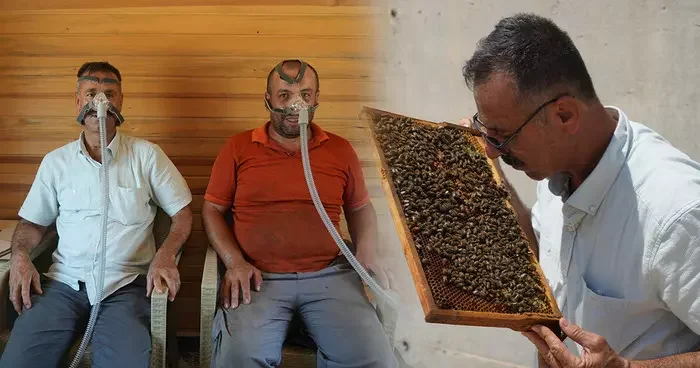 Arılar yeni şifa kaynağı! ABD ve Japonya gibi ülkelerde yaygın olan yöntem artık Türkiye de: Arı kovanı havası şifasının faydaları saymakla bitmez...