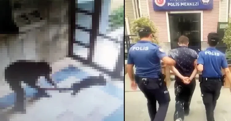 Kediyi işkenceyle öldürdü