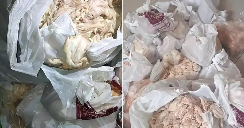 Yemek üretim tesisinde skandal! Yüzlerce kişiyi hastanelik edeceklerdi