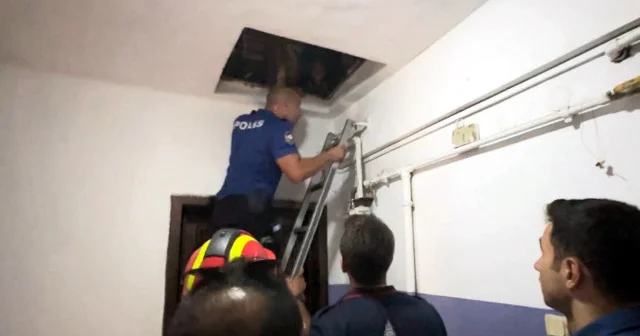 Avcılar da firari bir hükümlü saklandığı çatıda yakalandı VİDEO İZLE