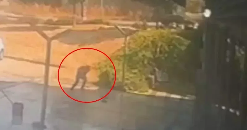 Küçükçekmece de galerideki silahlı saldırıda müşteri vuruldu