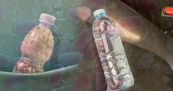 Sıcaklarda arabada unutulan su, sessiz bir tehdit! Serinlemek isterken hasta olmayın: Plastik şişeler kimyasal bir tehlike olabilir mi?