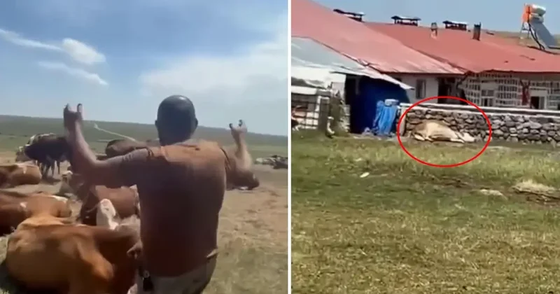 Bir ilimizde durum vahim! Nerede bu yetkililer diyerek isyan etti: Allah sen yardım et