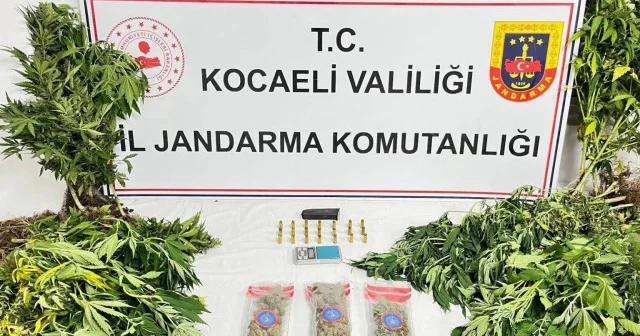 Kocaeli’de uyuşturucu operasyonlarında 1 şüpheli tutuklandı Kocaeli Haberleri