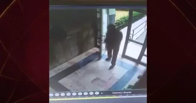 Kediyi canice öldüren şüpheli şahıs tutuklandı