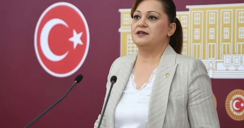 Burcu Köksal ın yargılandığı böcek davası hakkında karar verildi