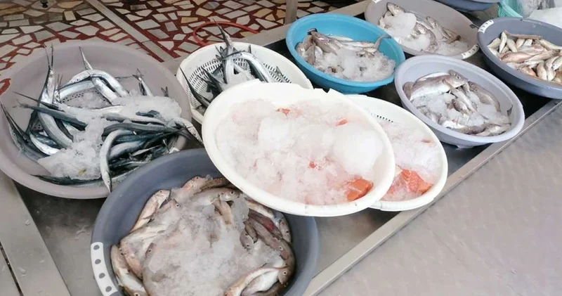 Sezonun ilk balıkları tezgahta! 100 liradan satılıyor