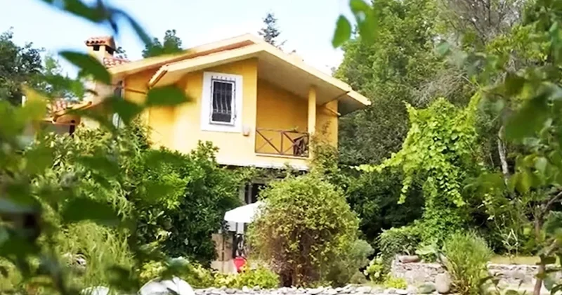 Ünlü oyuncunun orman içindeki evini gören hayran kalıyor Sözcü Gazetesi