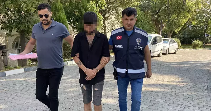 Park halindeki kamyonetin 10 bin lira değerindeki havalı kornasını çaldı