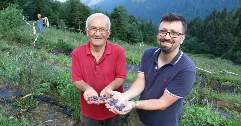 Emekli olup köyüne döndü! Yetiştirdiği meyve ile köylüye ilham oldu