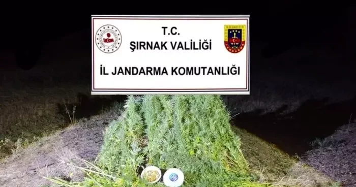 Şırnak’ta Jandarma’dan 22 milyon 861 bin liralık kaçakçılık operasyonu: 2 tutuklama