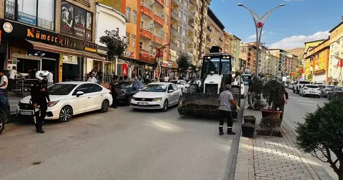 Hakkari’de 235 ağaç toprakla buluştu