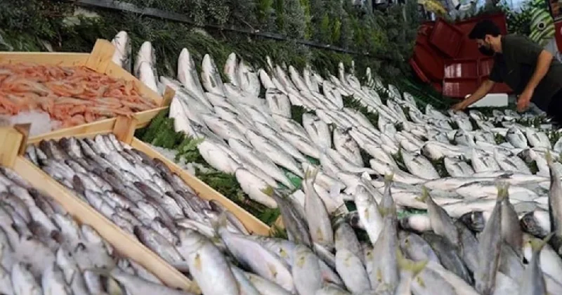 45 yaş üstü kişiler için en sağlıklı balık açıklandı: Somon veya Çipura değil Sözcü Gazetesi