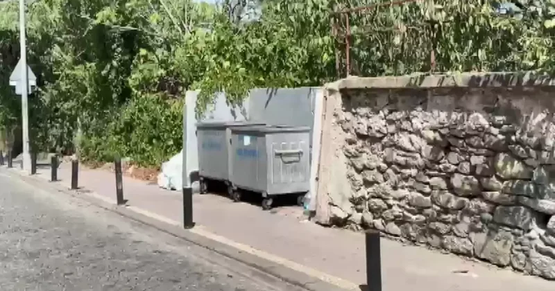 Anne, Bebek Cesedini Konteyner Yanına Bıraktı