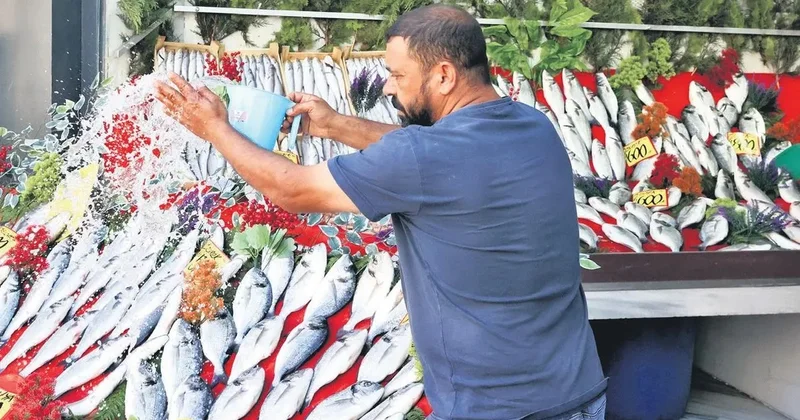 Bu yıl bolca hamsi yiyeceğiz