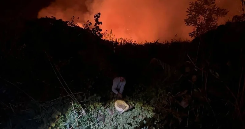Yangına müdahale ederken çalılıklara takıldı! Çaresizce kurtarılmayı bekledi