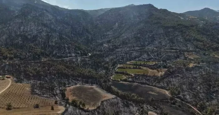 Buldan’da zorlu şartları yangına müdahaleyi güçleştiriyor