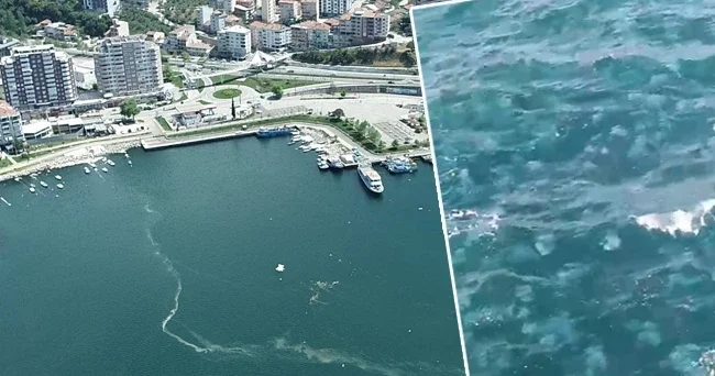 Marmara Denizi’nin yüzeyini kaplayan tehlike: Vatandaşın cebini yakacak Sıkıntılı günler bizi bekliyor