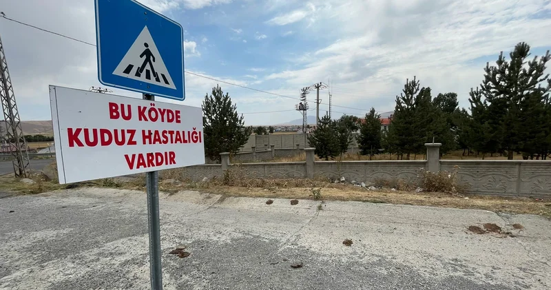 Tilkiyle boğuşarak ölen köpeğin kuduz olduğu tespit edildi, belde karantinaya alındı