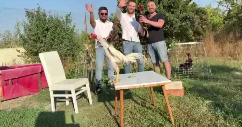 Kutuyu açınca şaşıp kaldı: Düğünde damadı şaşırtan 250 bin TL lik hediye