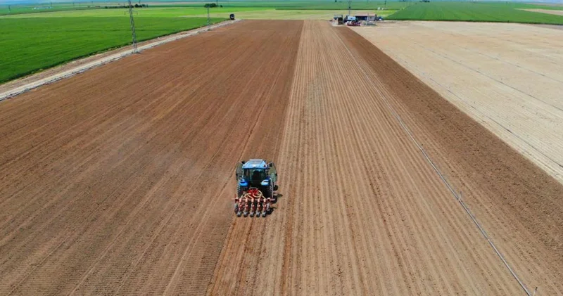 Uygulama başladı: 2 yıl ekilmeyen tarla kiraya verilecek
