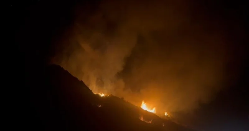 Hatay da ağaçlık alanda yangın