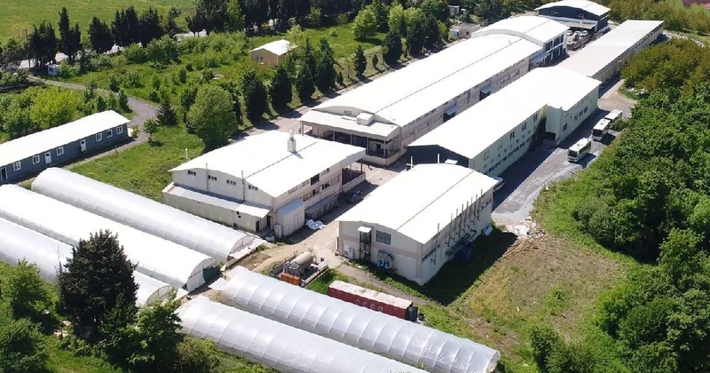 Türkiye nin 32 yıllık giyim devi iflas bayrağını çekti: Uluslararası Ticaret Odası ndan başarı ödülü almıştı Sözcü Gazetesi