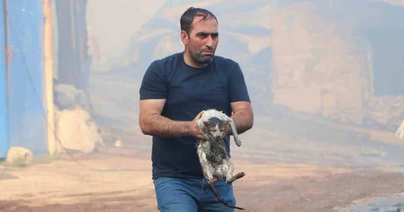 Alevlerin içine dalıp kediyi kurtardı