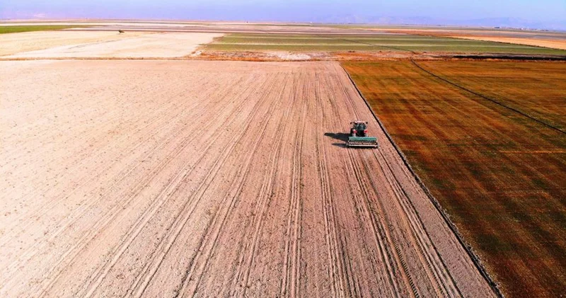 Kiralık tarla dönemi başladı, uzmanlardan uyarı geldi: Dolandırıcılara dikkat edin!
