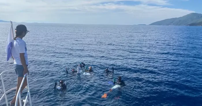 Datça’da hayalet ağ temizliği yapıldı