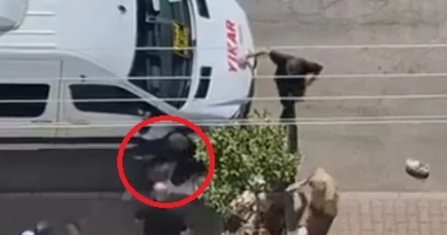 Sokakta bıçaklandı, kaçan saldırganı taşla kovaladı Adana Haberleri