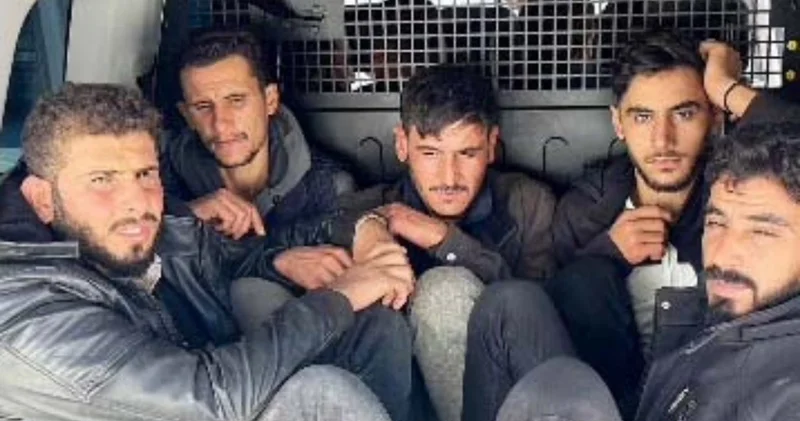 Hatay da 11 kaçak göçmen yakalandı