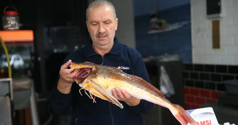 Ordu da lezzetiyle bilinen balık tezgahları süslüyor: Fiyatı 100 liradan satışta