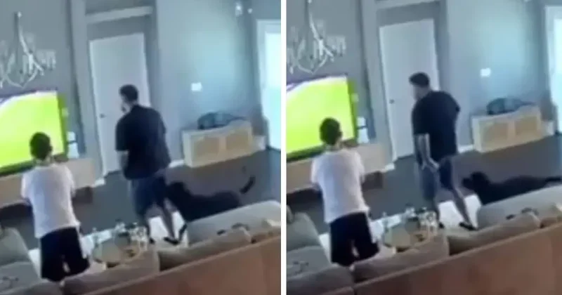 Galatasaray maçını izlerken, köpeğinin yaptığı hareket bomba!